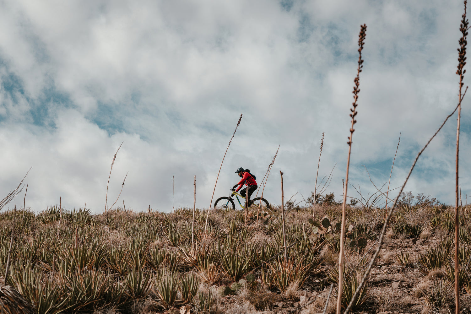 Image of a person cycling while wearing our socks